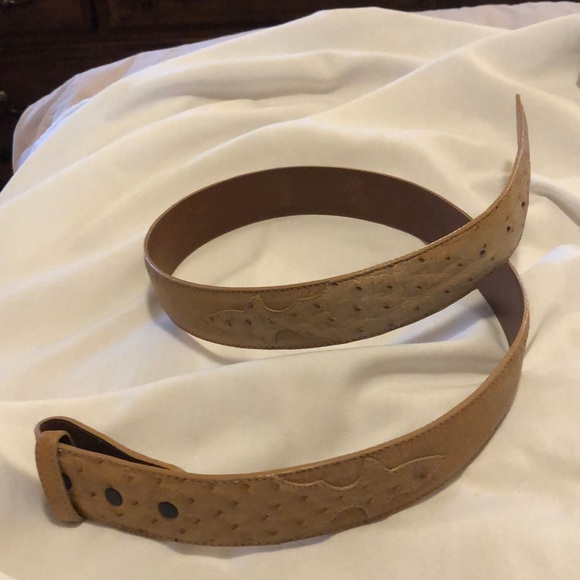 Ostrich Belt - Picture 3 of 8